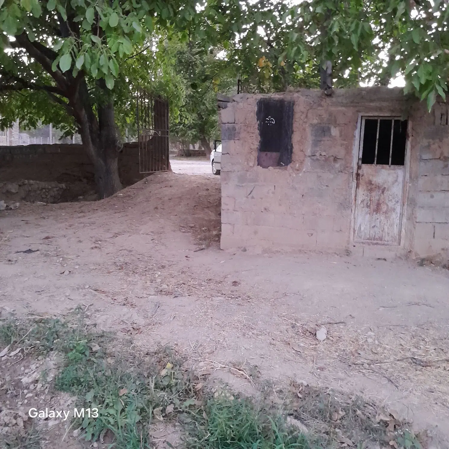 فروش فوری باغ در روستای کچرانلو