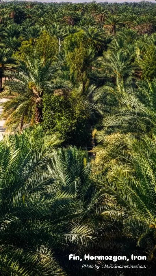فروش زمین بندزرک