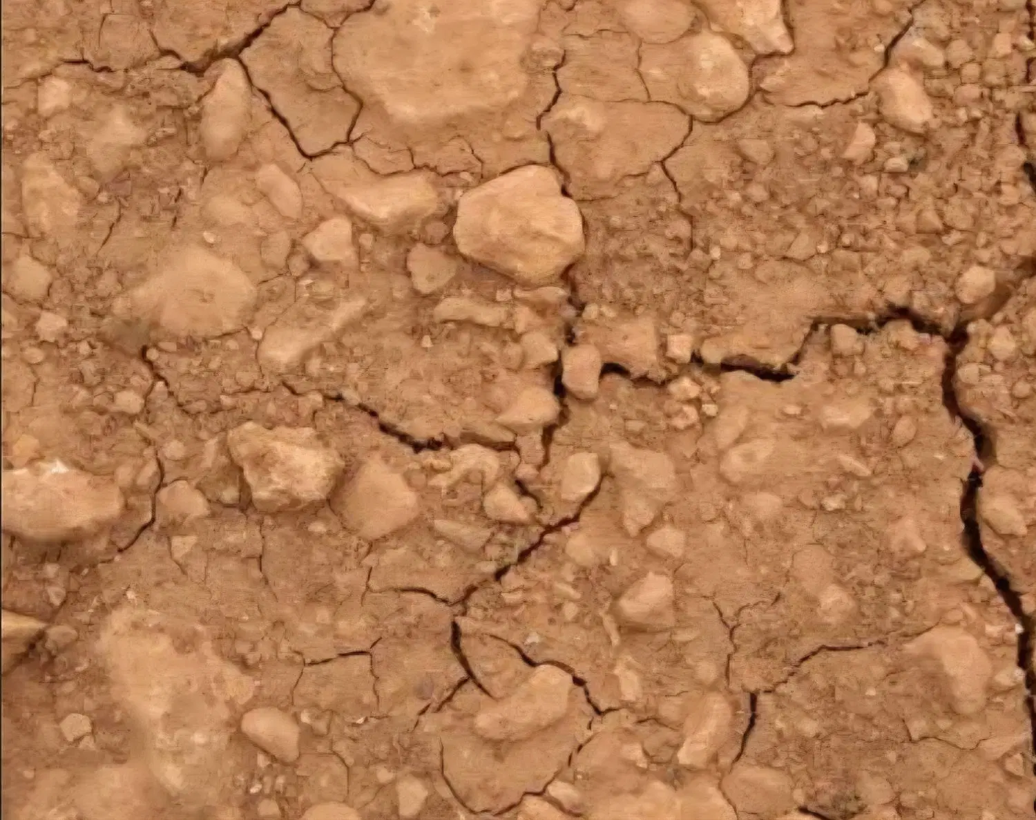زمین برخیابان کوشه جیجیان