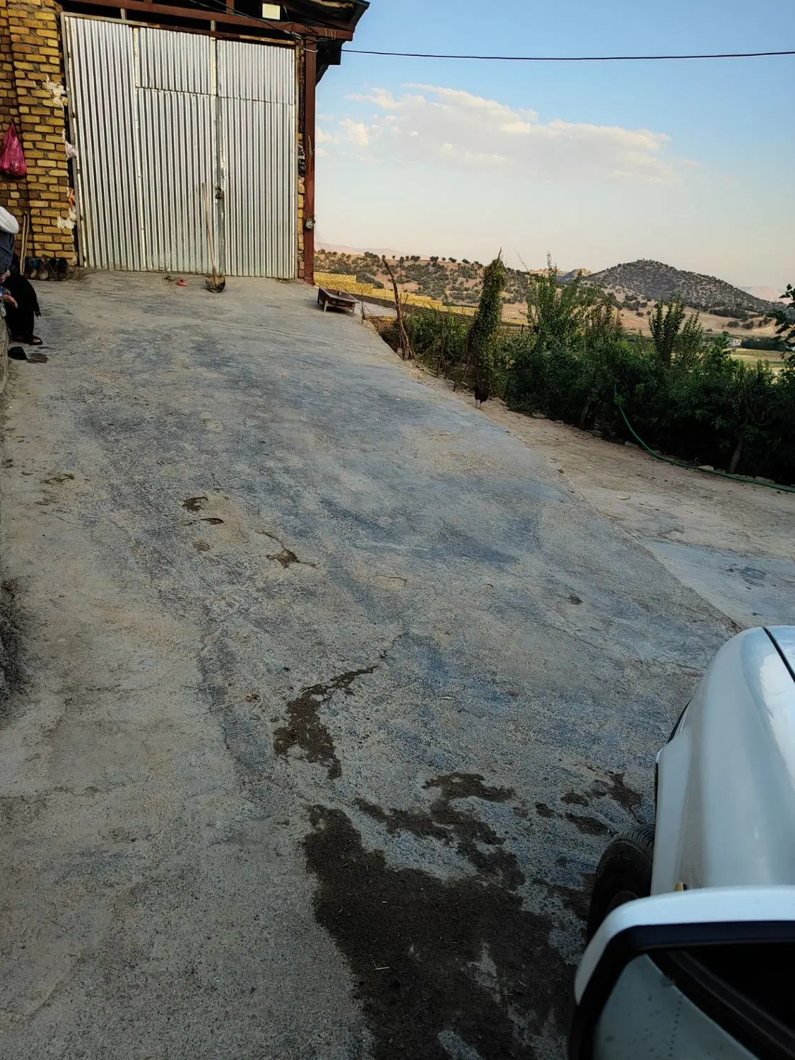 اجاره دامداری بزرگ و مجهز