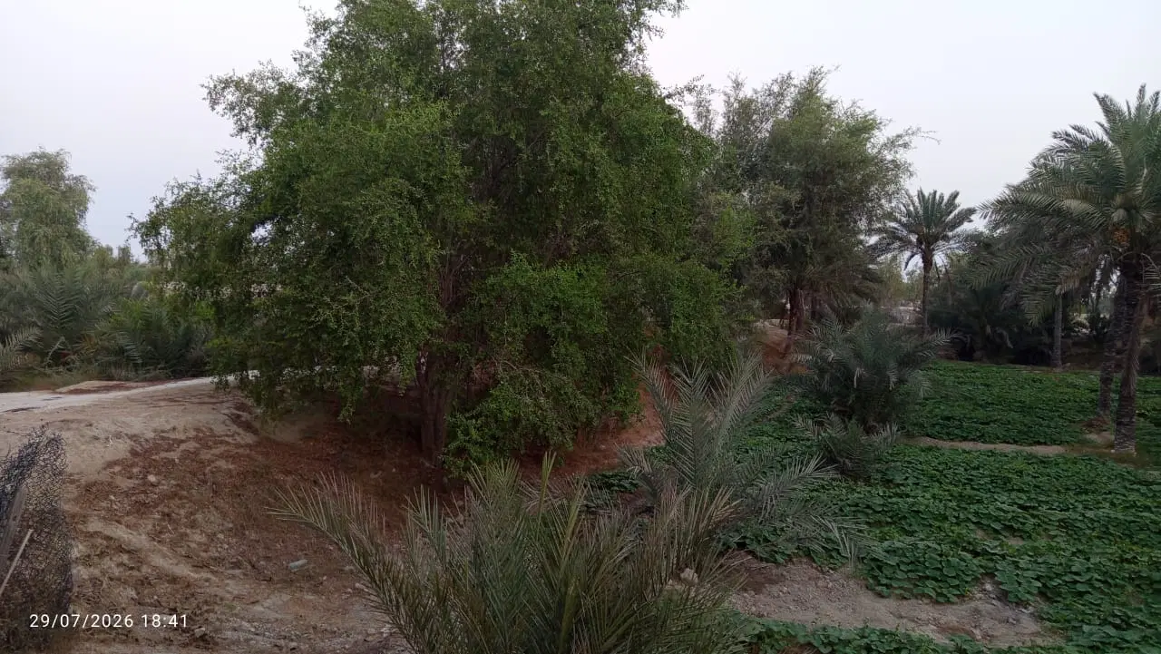 خانه باغ رمکان زیرقیمت