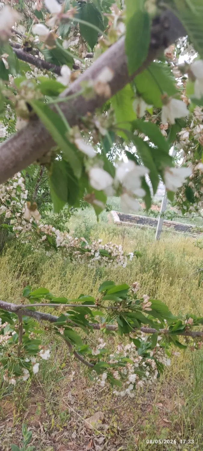زمین مناسب تجاری و باغ