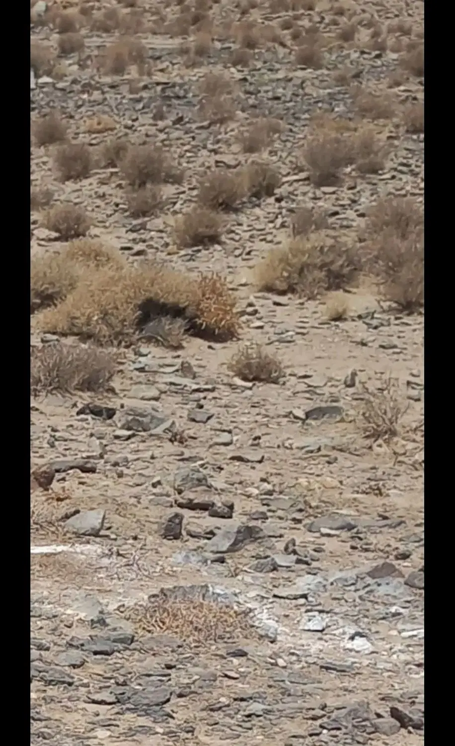 ۴۵۰متر زمین سنددار ۲نبش روستای کالیکه فاز ۲