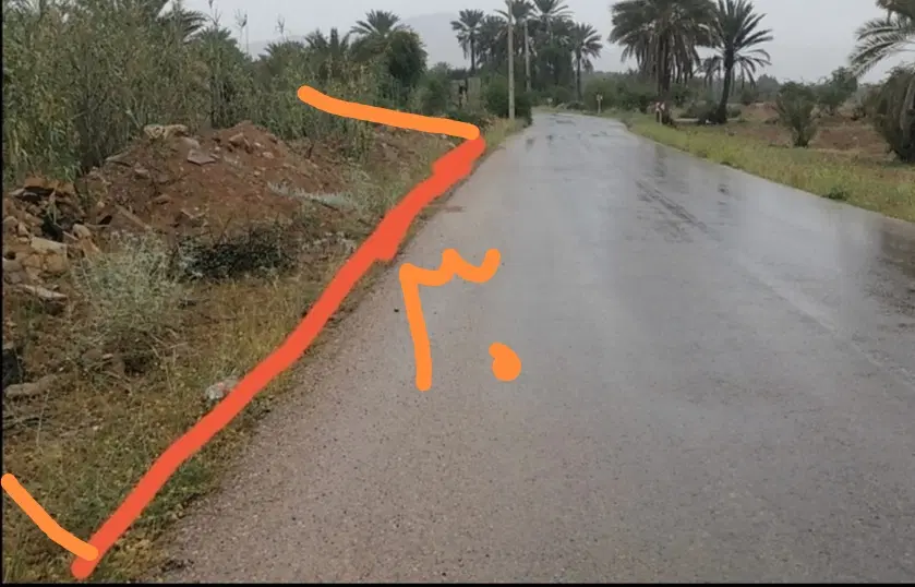 باغ 2400 متری