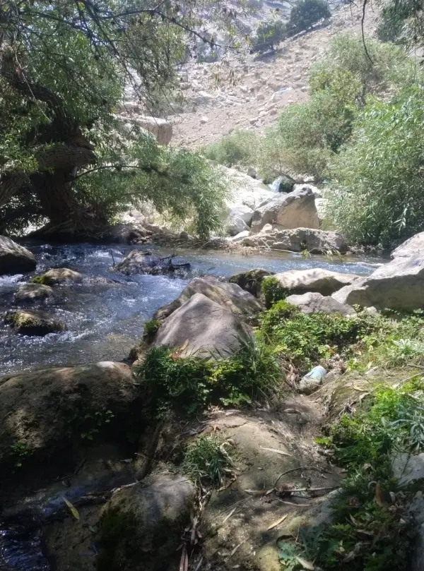 زمین شهرک صنعتی فرودگاه