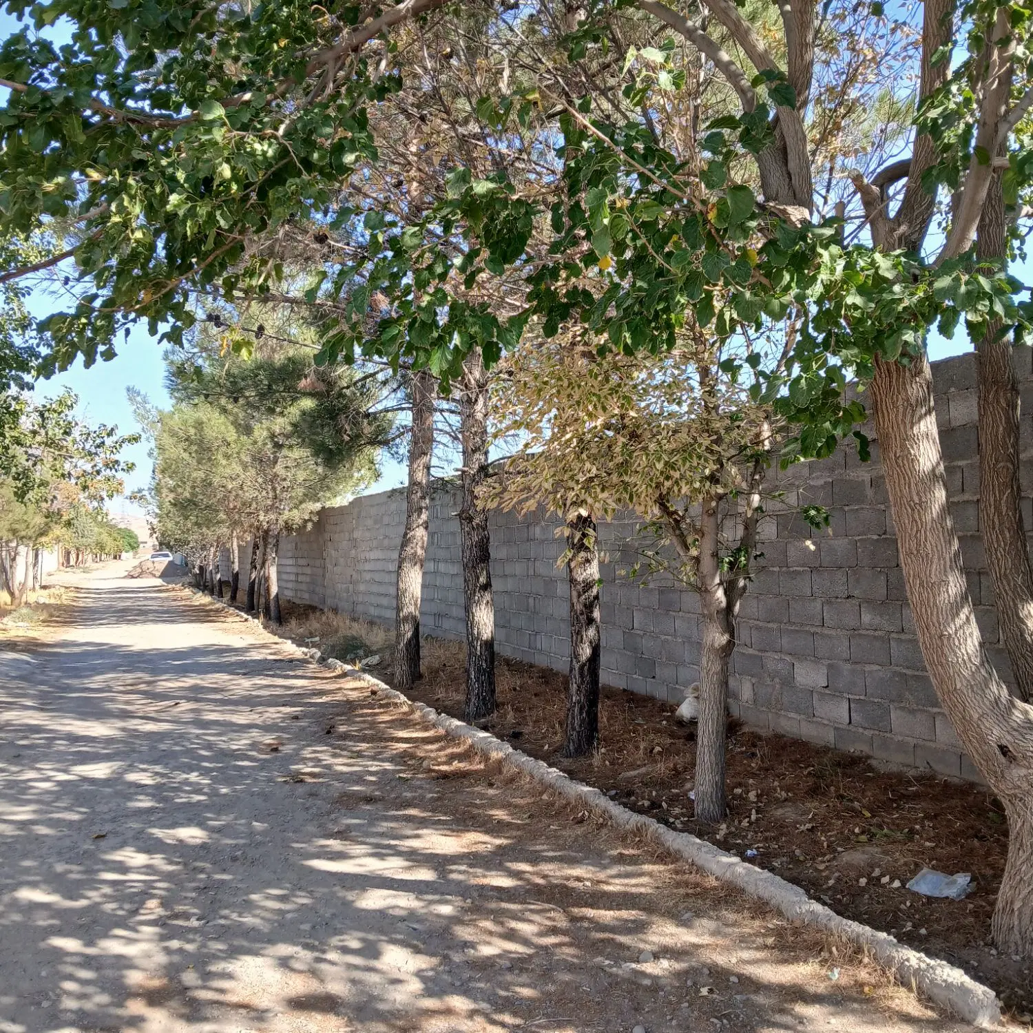 ۱۰۰۰مترحاشیه اصلی