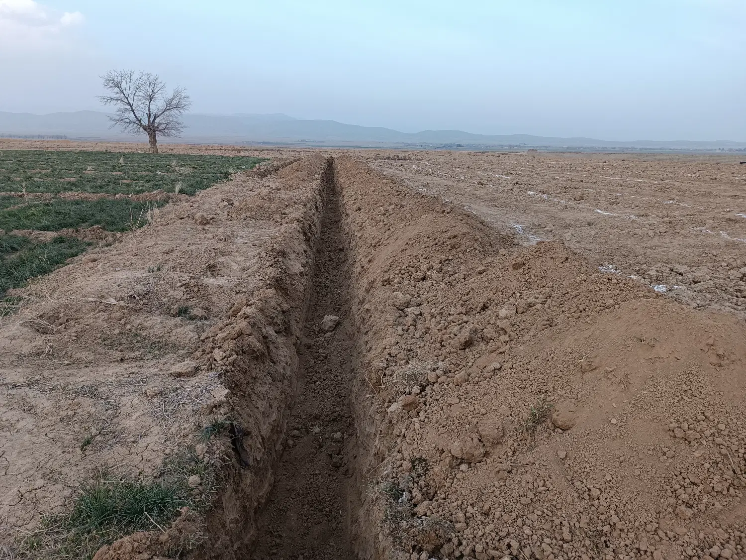 سه هزار متر باغ بادوم زمین ملکی