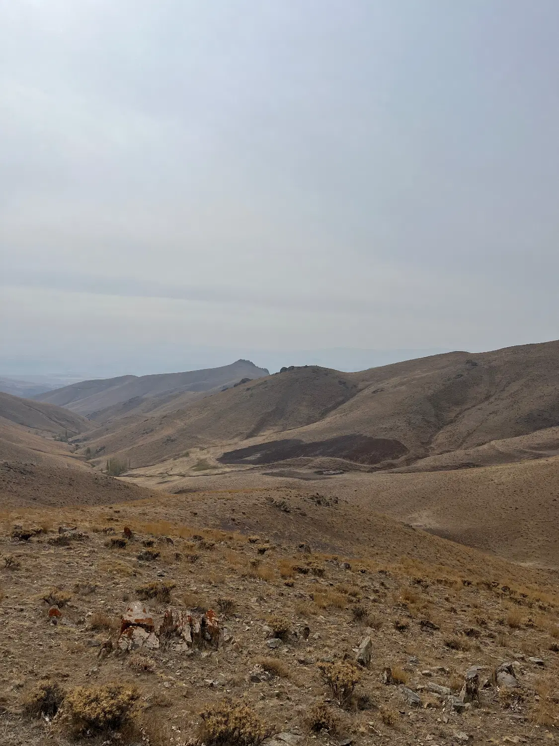 زمین