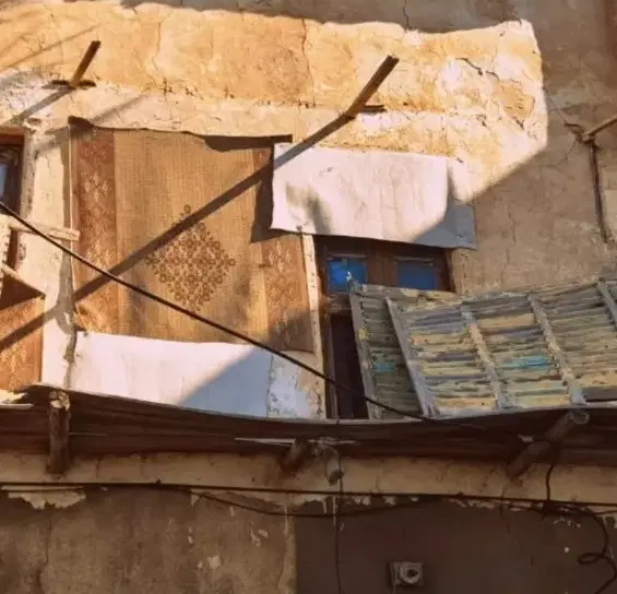 زمین بطانه هزار متری بندر دیر