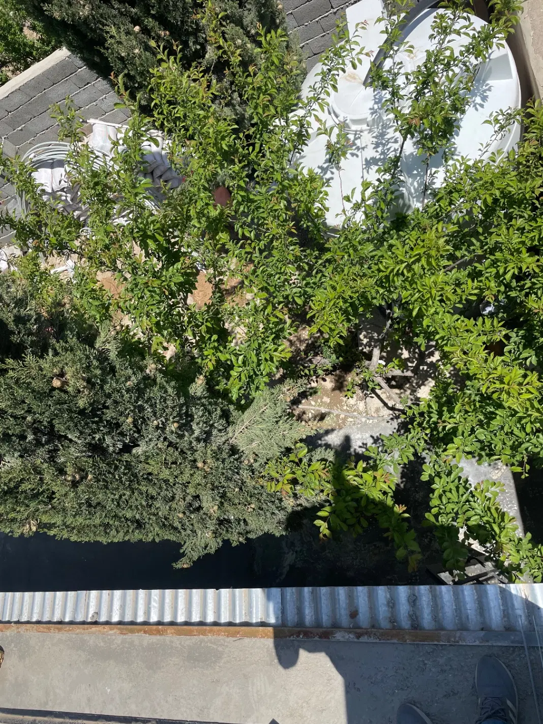 اجاره خانه دربستی