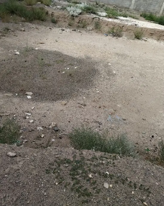 زمین بلوار چمران
