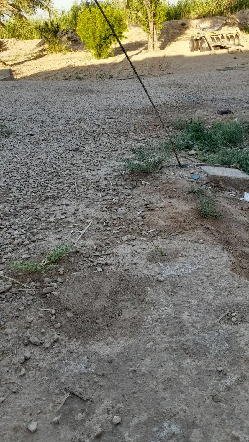 زمین برای فروش