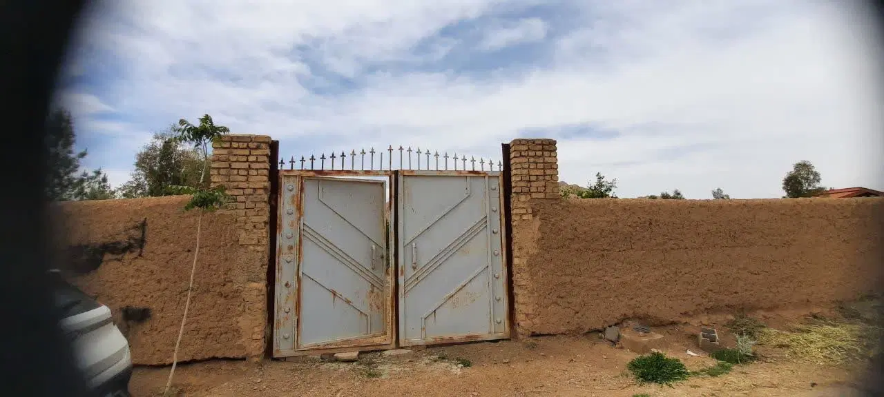 باغ زردنجان‌ با درختان ۷ الی ۸ ساله