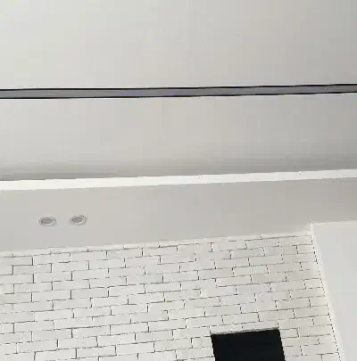 همخونه خانم