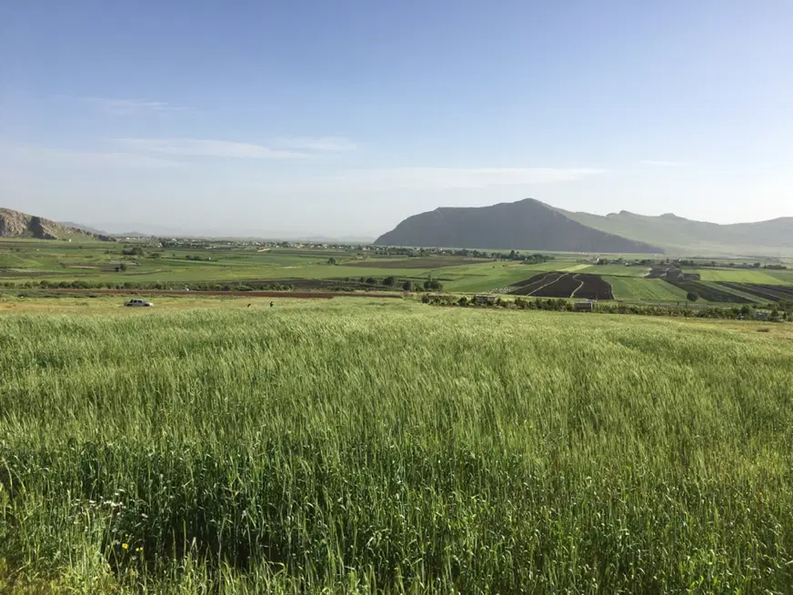 زمین کشاورزی دیم جهت باغ طرح