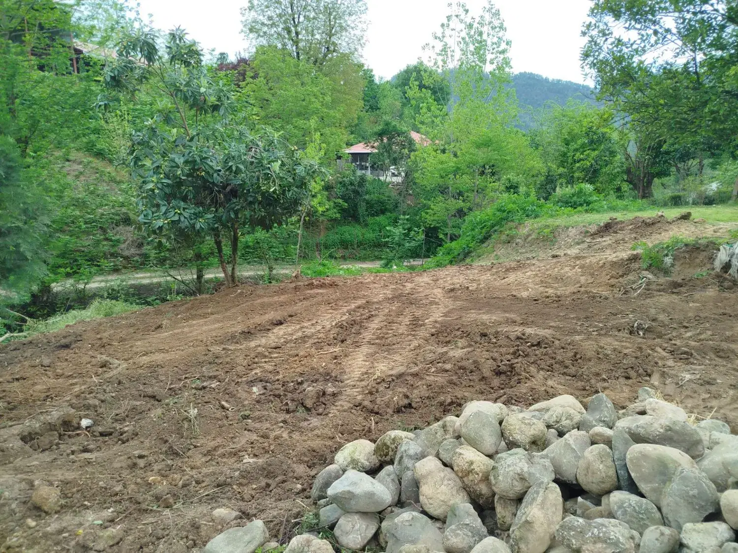 زمین مسکونی