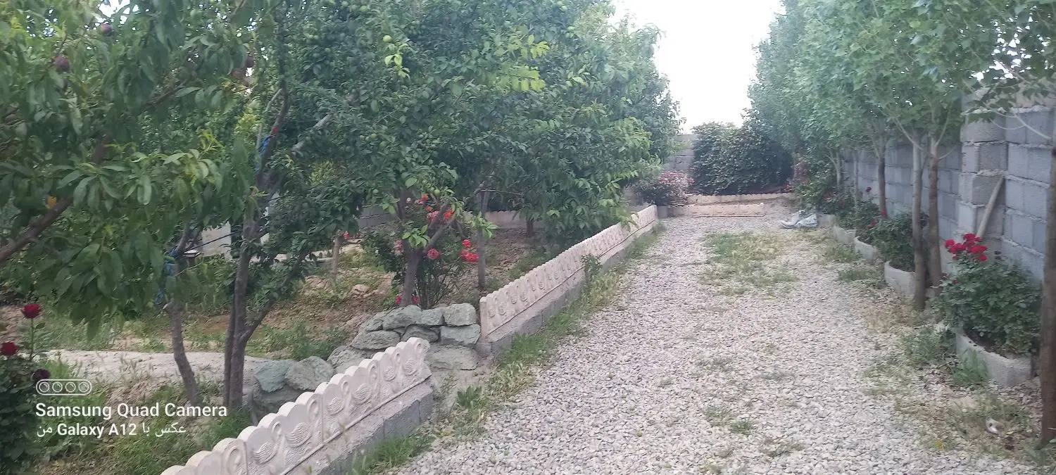 باغچه نقلی