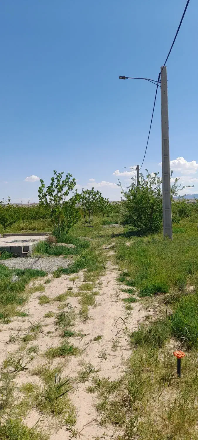 باغچه کرج اقبالیه روستای دولت آباد