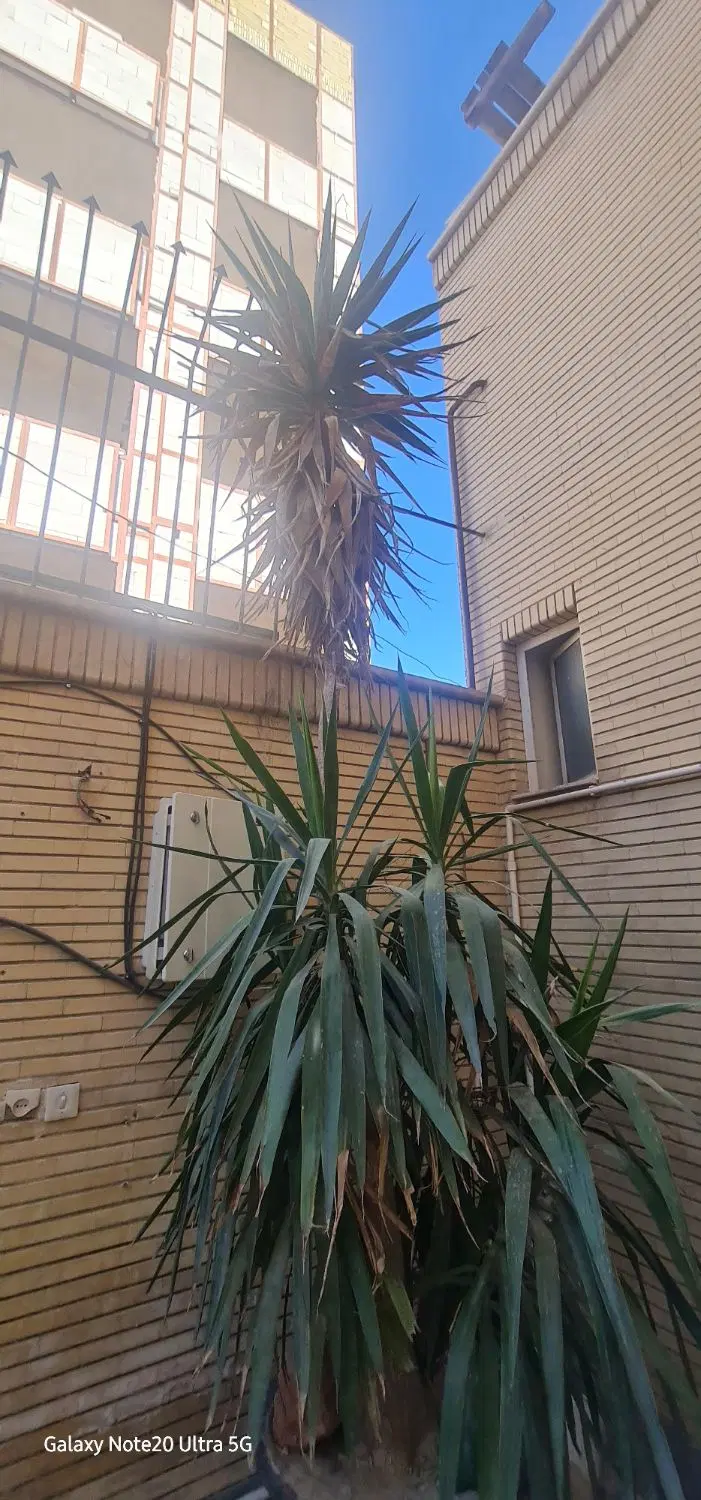 اجاره خانه