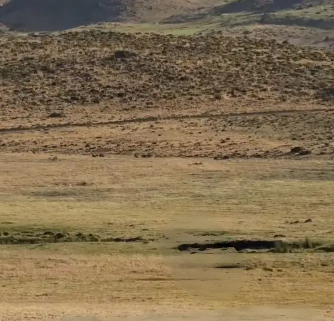 زمین مسکونی تیون