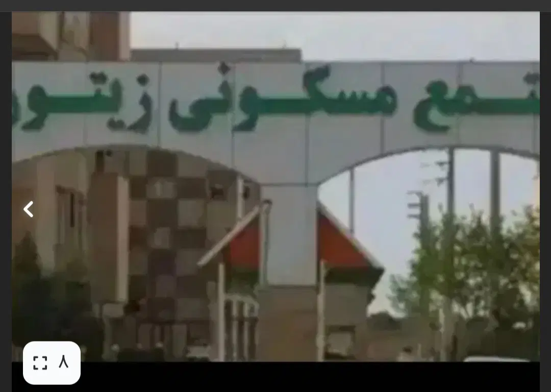 مجتمع زیتون