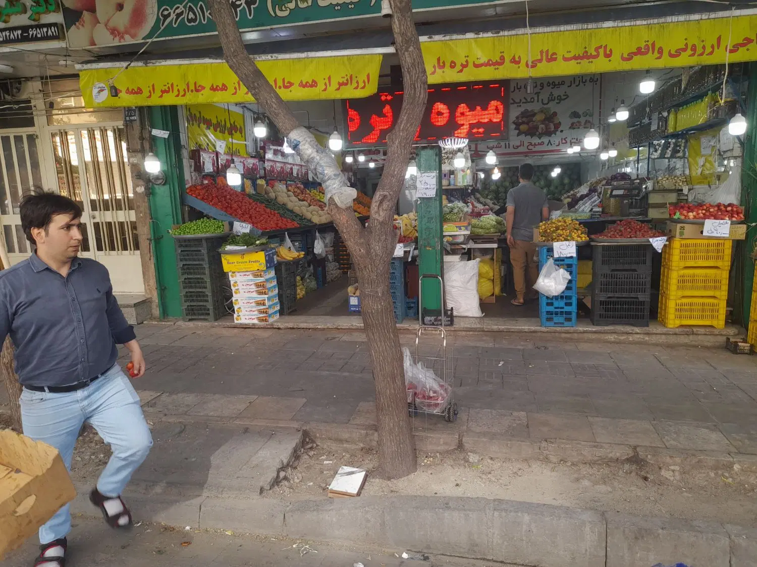 قسمتی از تره بار برای سبزی فروشی