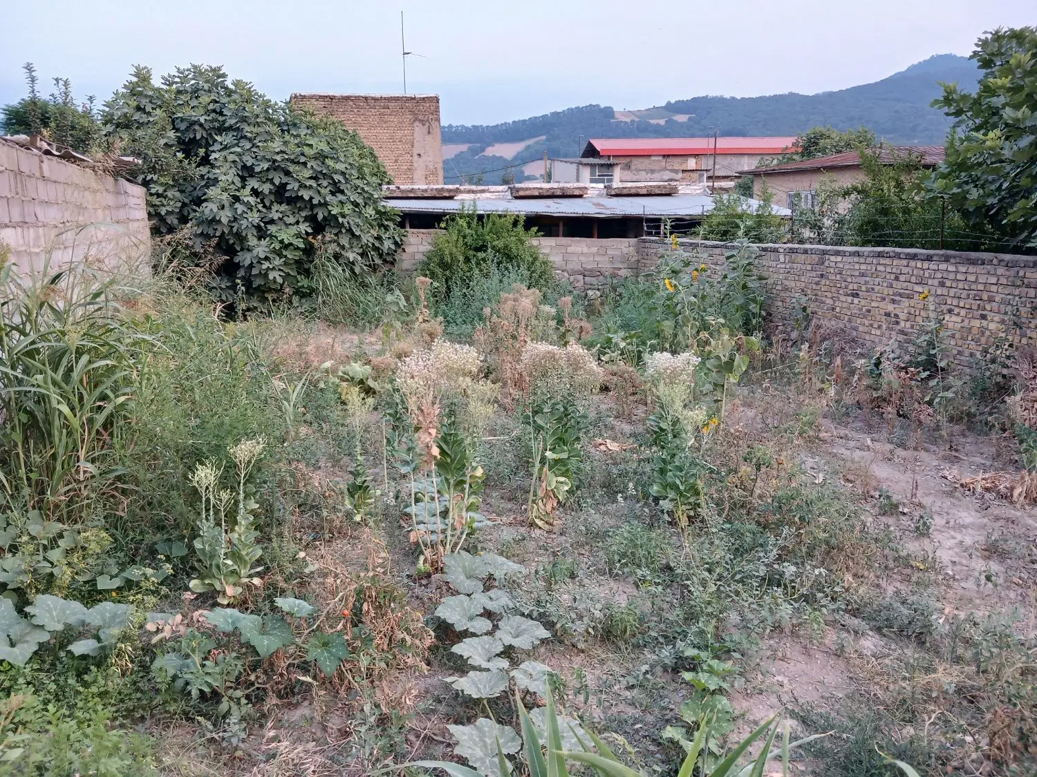 زمین مسکونی بهشت ۳۴