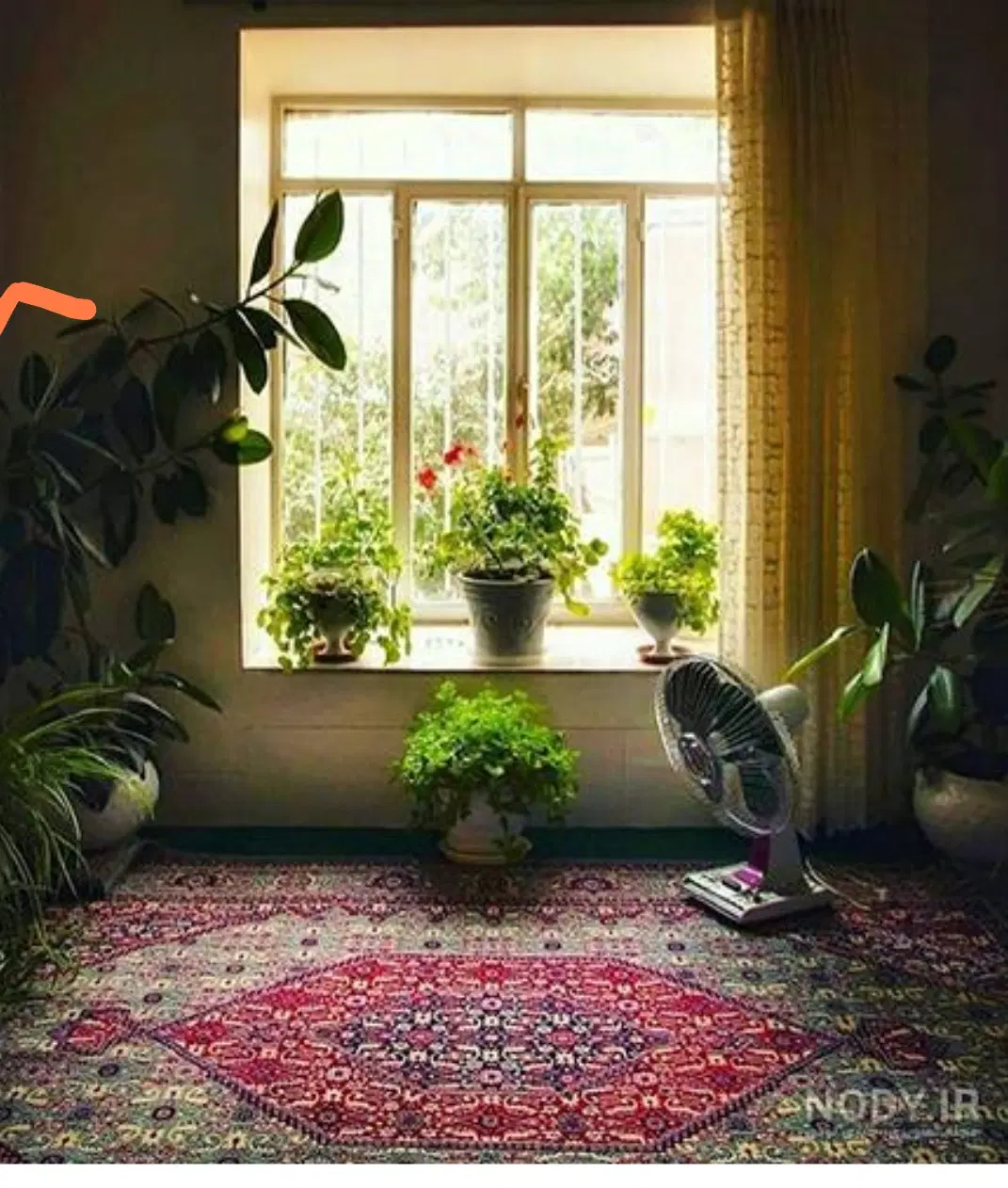 فروش ملک حیاط دار کلنگی