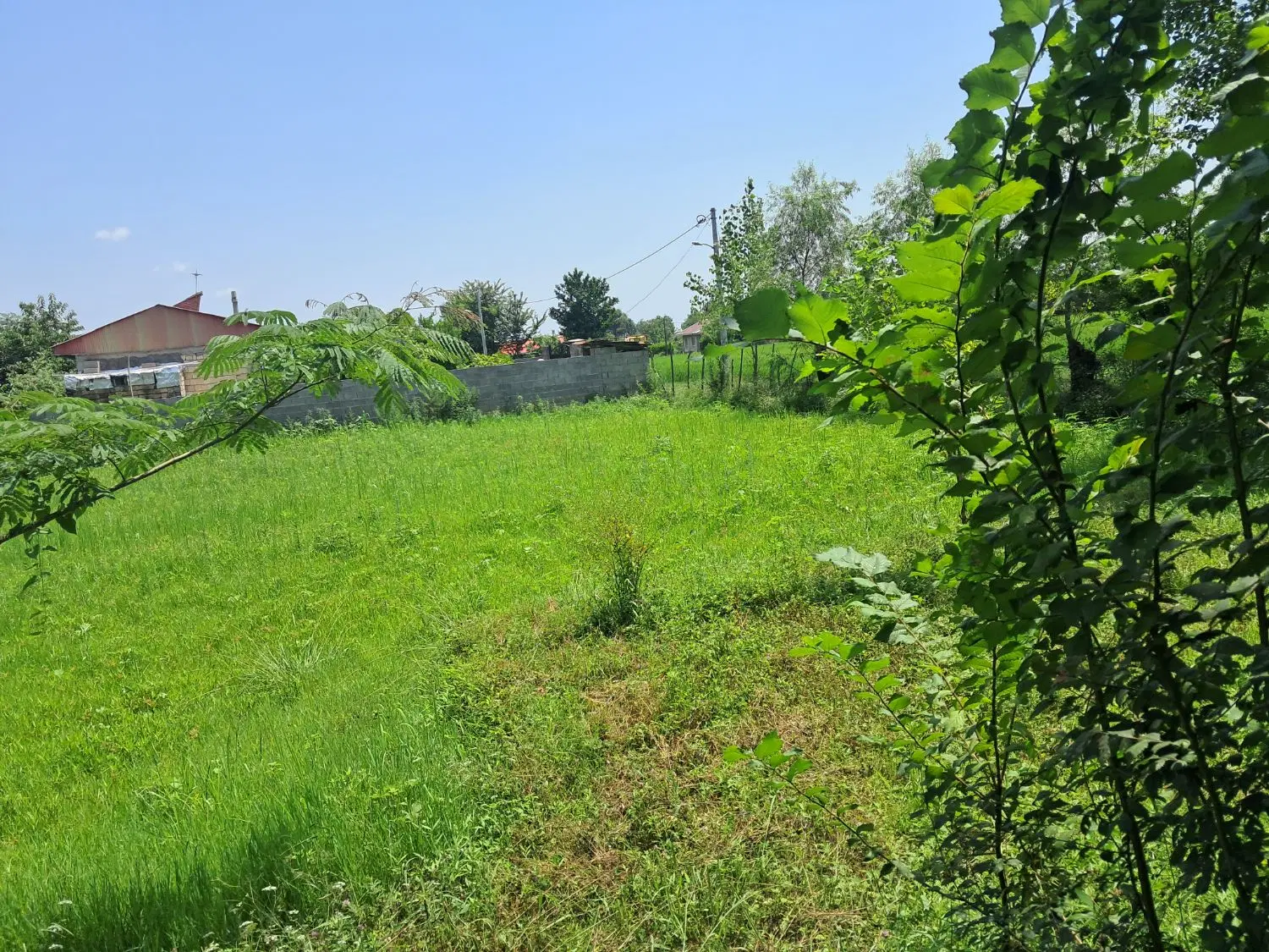 زمین کامل مسکونی250 متری