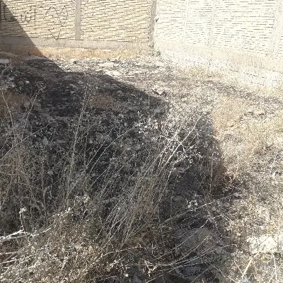 زمین مسکونی