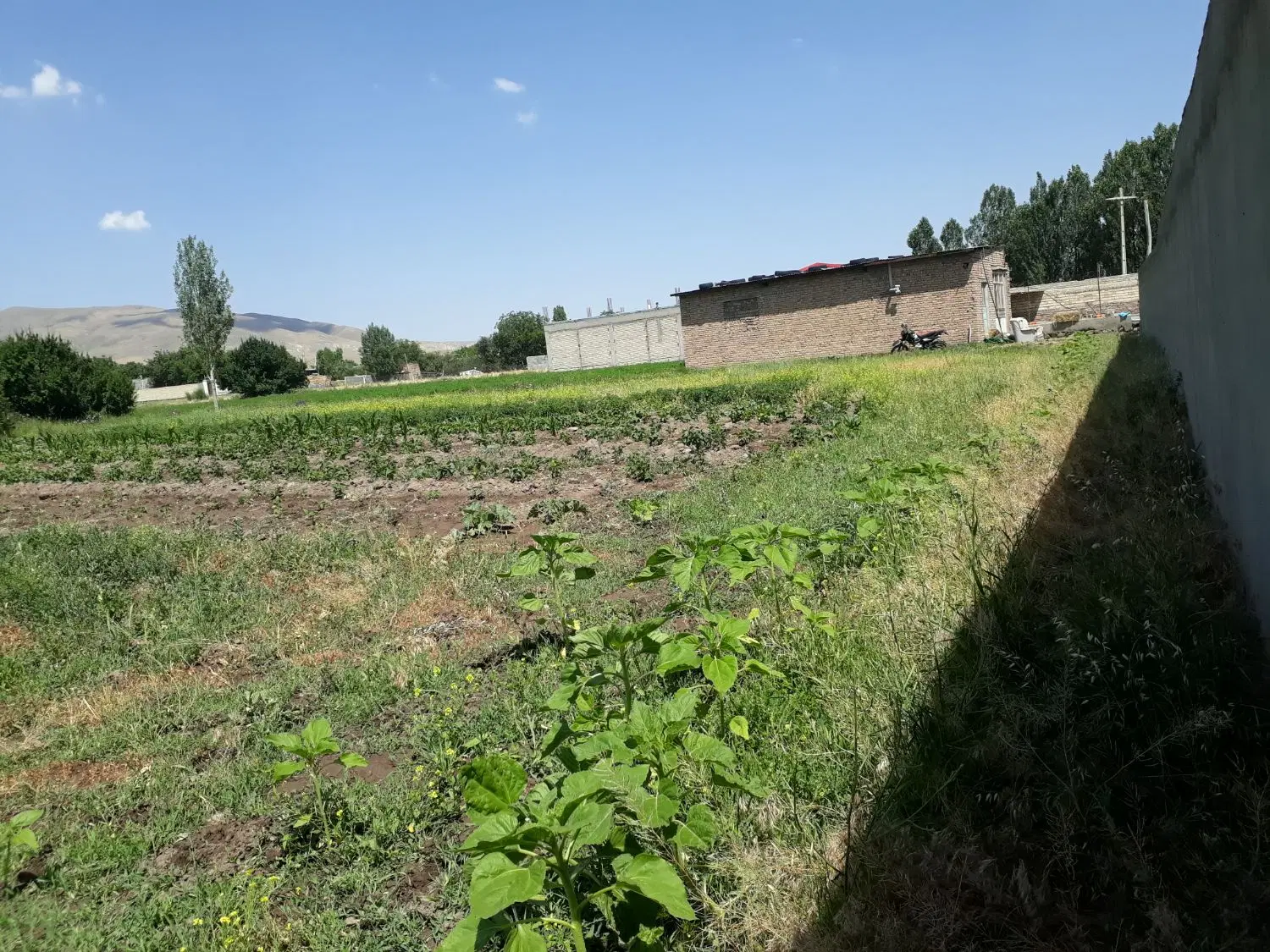 فروش زمین مسکونی