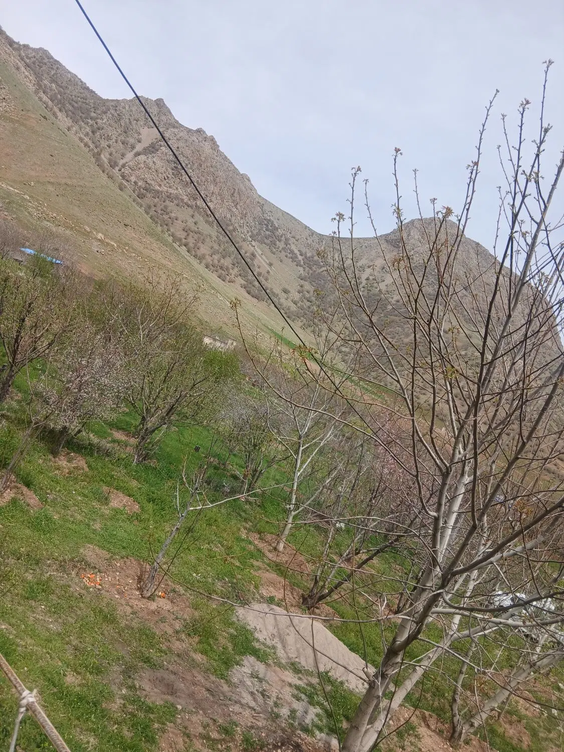 خانه ویلایی تپه شهدا نبش کاج ۸