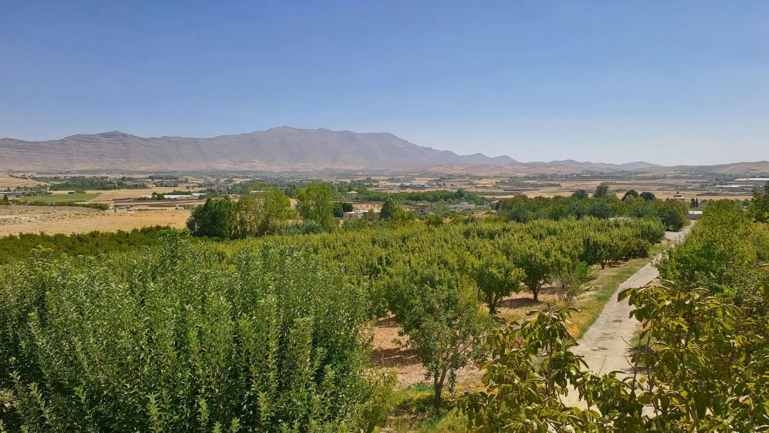 باغ سند دار خان زنیان شیراز