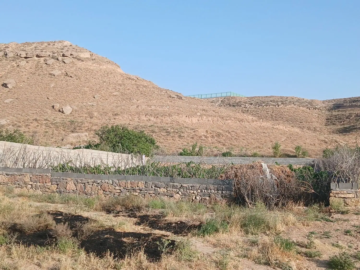 زمین باغی هفت تپه