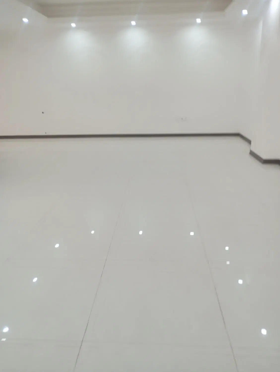 شریک یا سرمایه گذار