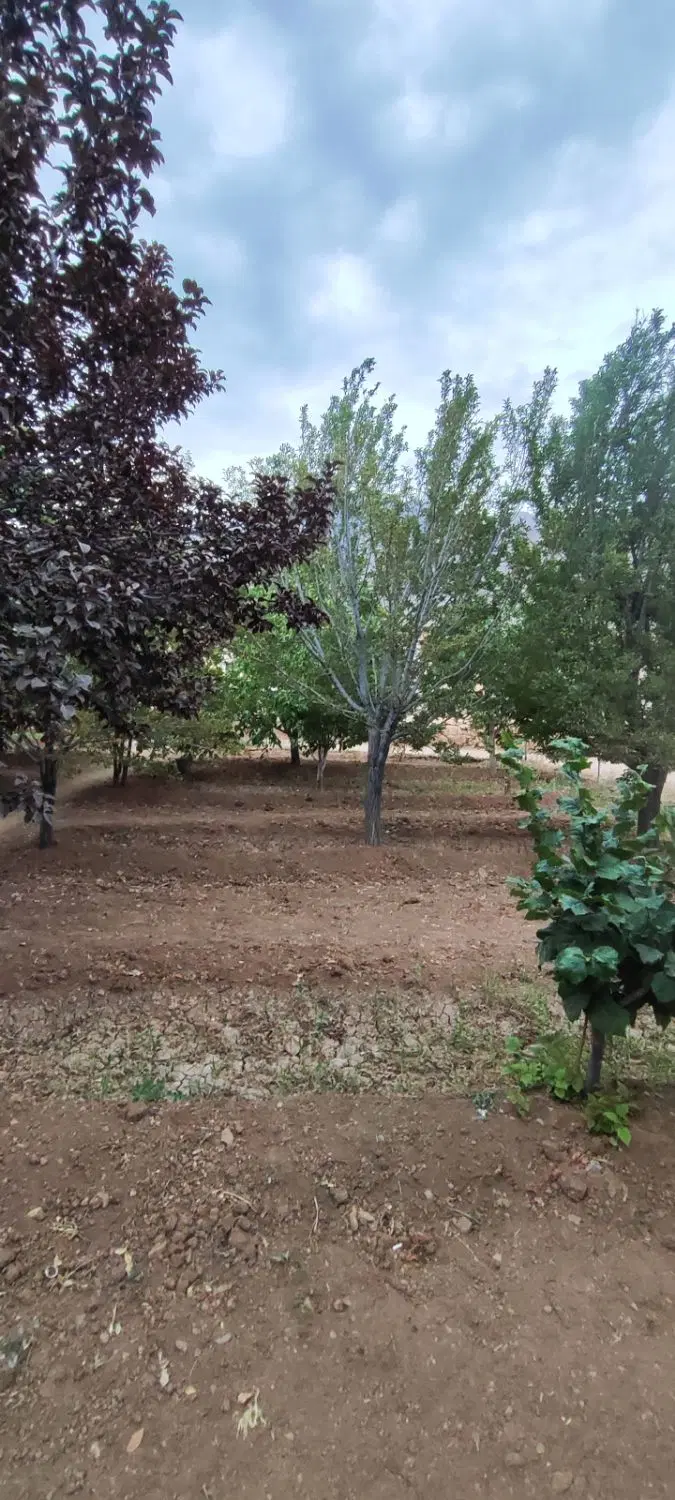 فروش یک قطعه باغ ویلا در شهرستان فریدونشهر