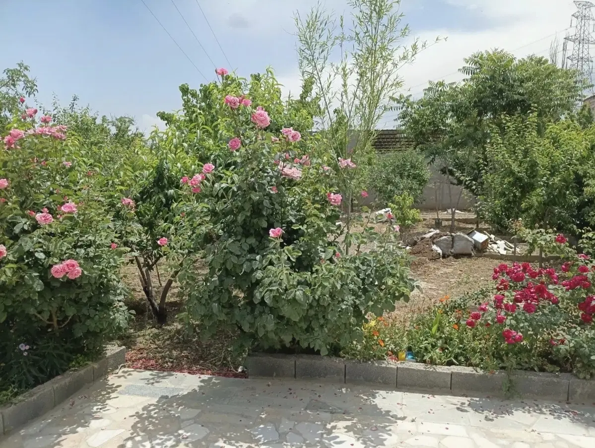 باغ ویلا ۱۲۰۰ متری در ریحان