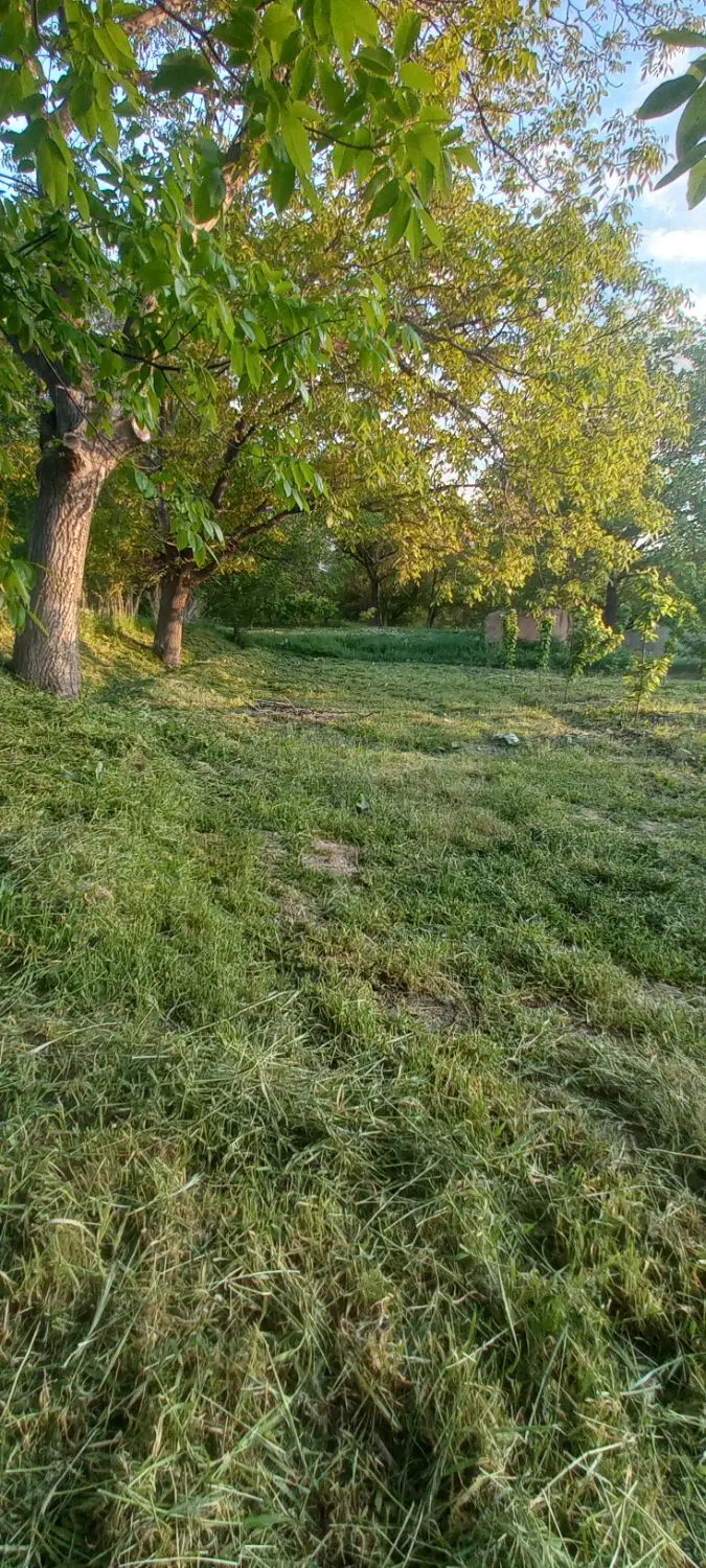 فروش باغ روستای فیروزه