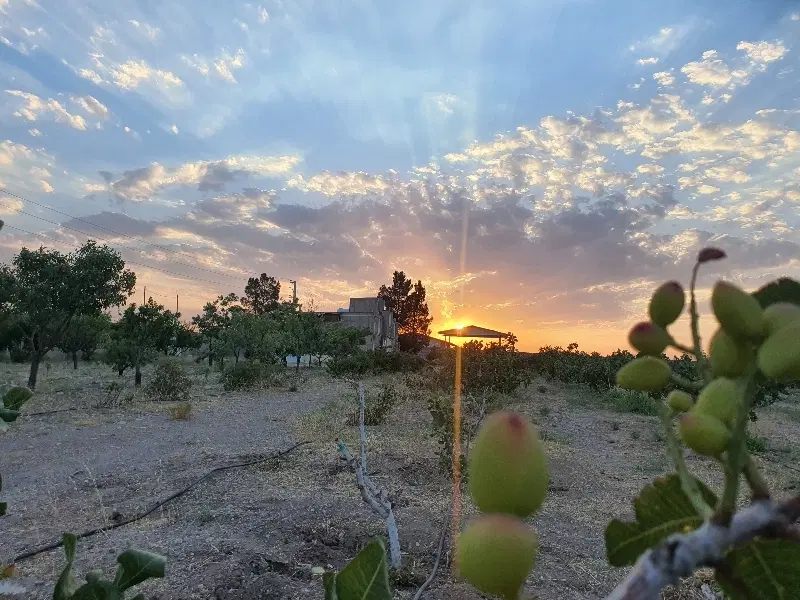 تهاتر ملک ۴هکتاری با جزیره