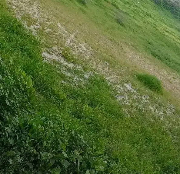 فروش‌ فوری‌ زیرقیمت زمین‌ مناسب خونه‌باغ..بومگردی