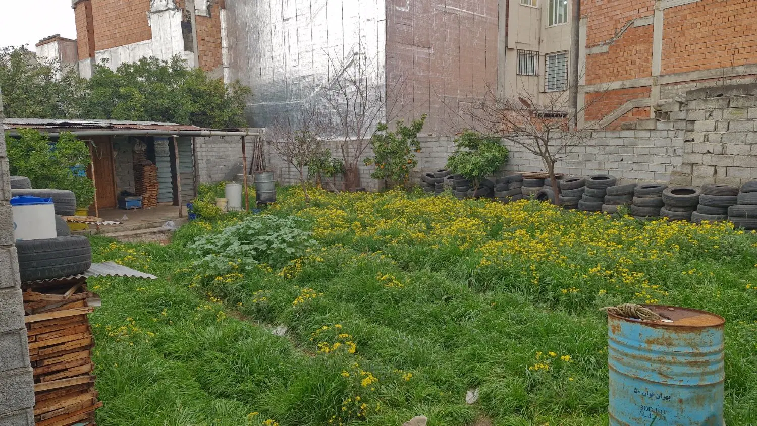 فروش فوری زمین ۲۵۲متر برای کاسبی