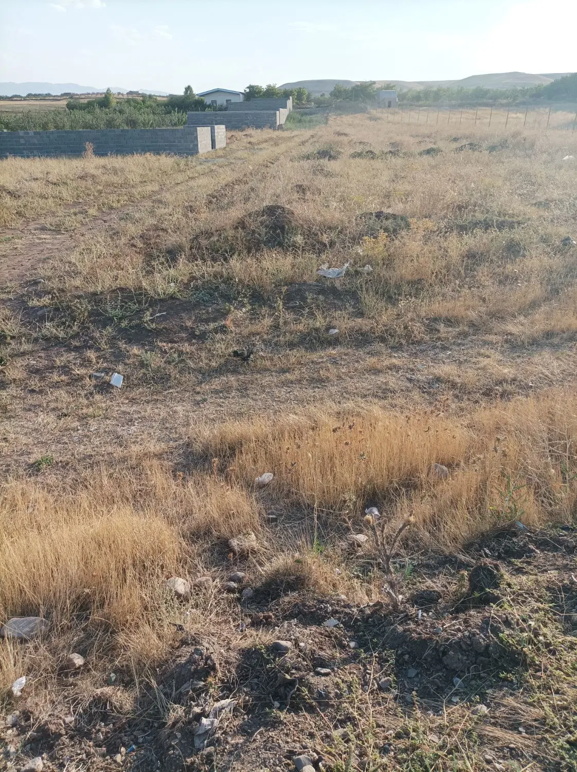 زمین تجاری