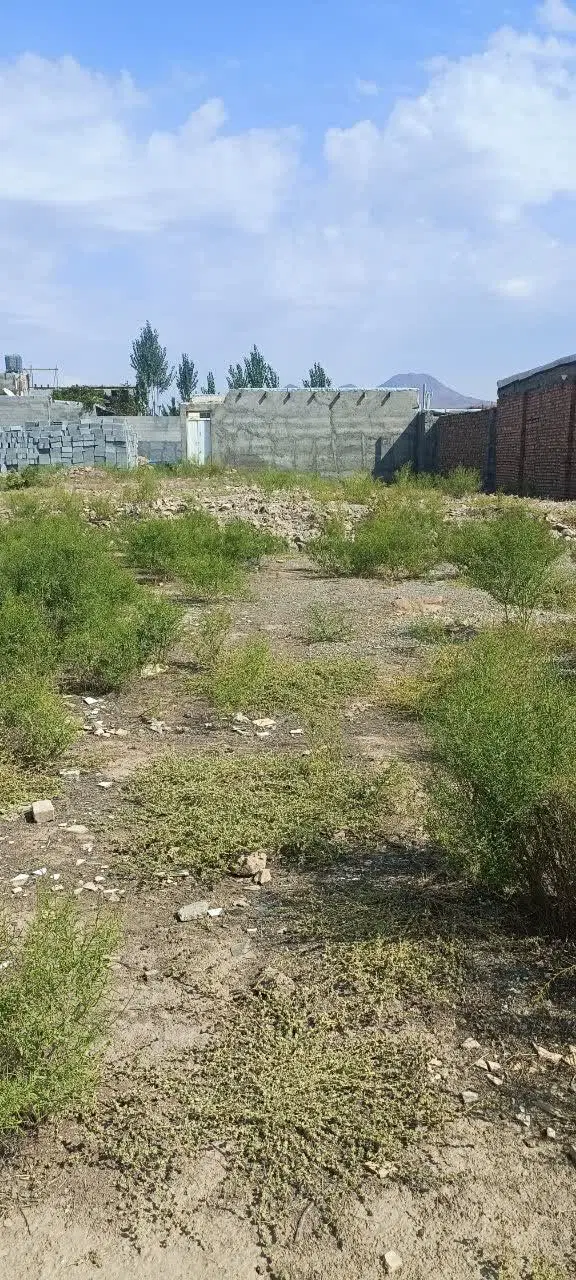 زمین اناخاتون پاین