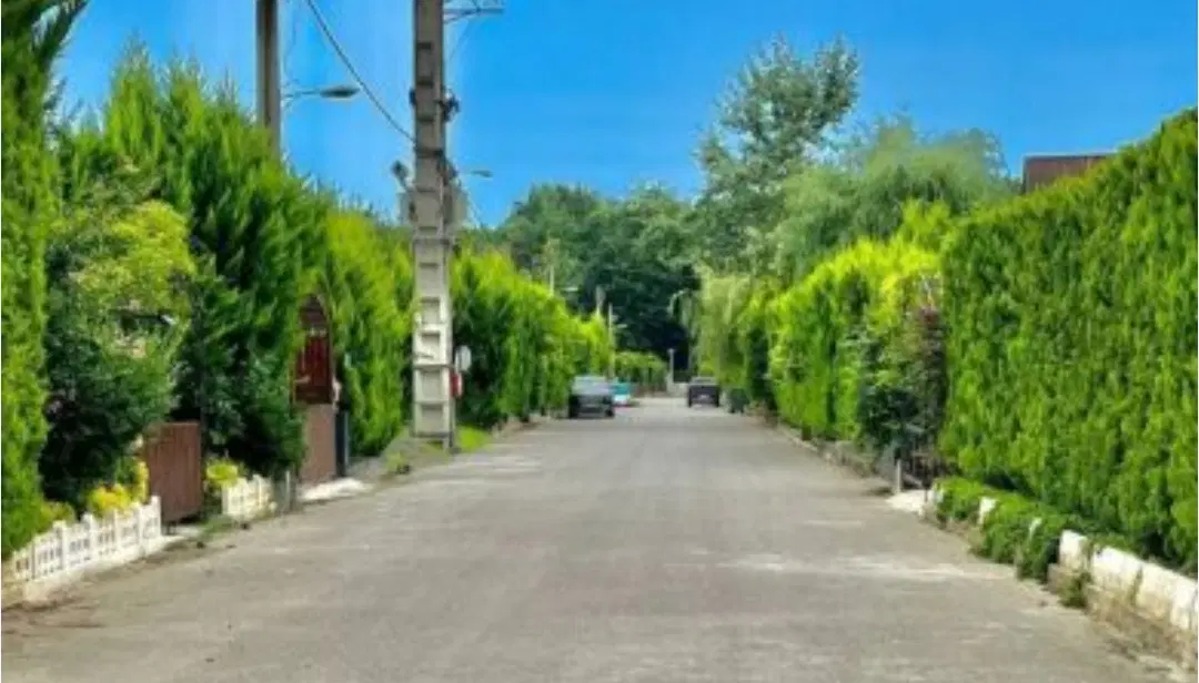 یک قطعه زمین سنددار سمت چمستان