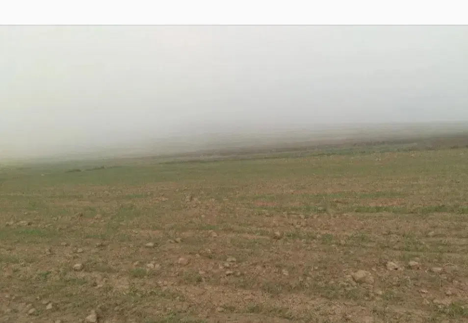 زمین فروشی جاده قدیم بدرانلو