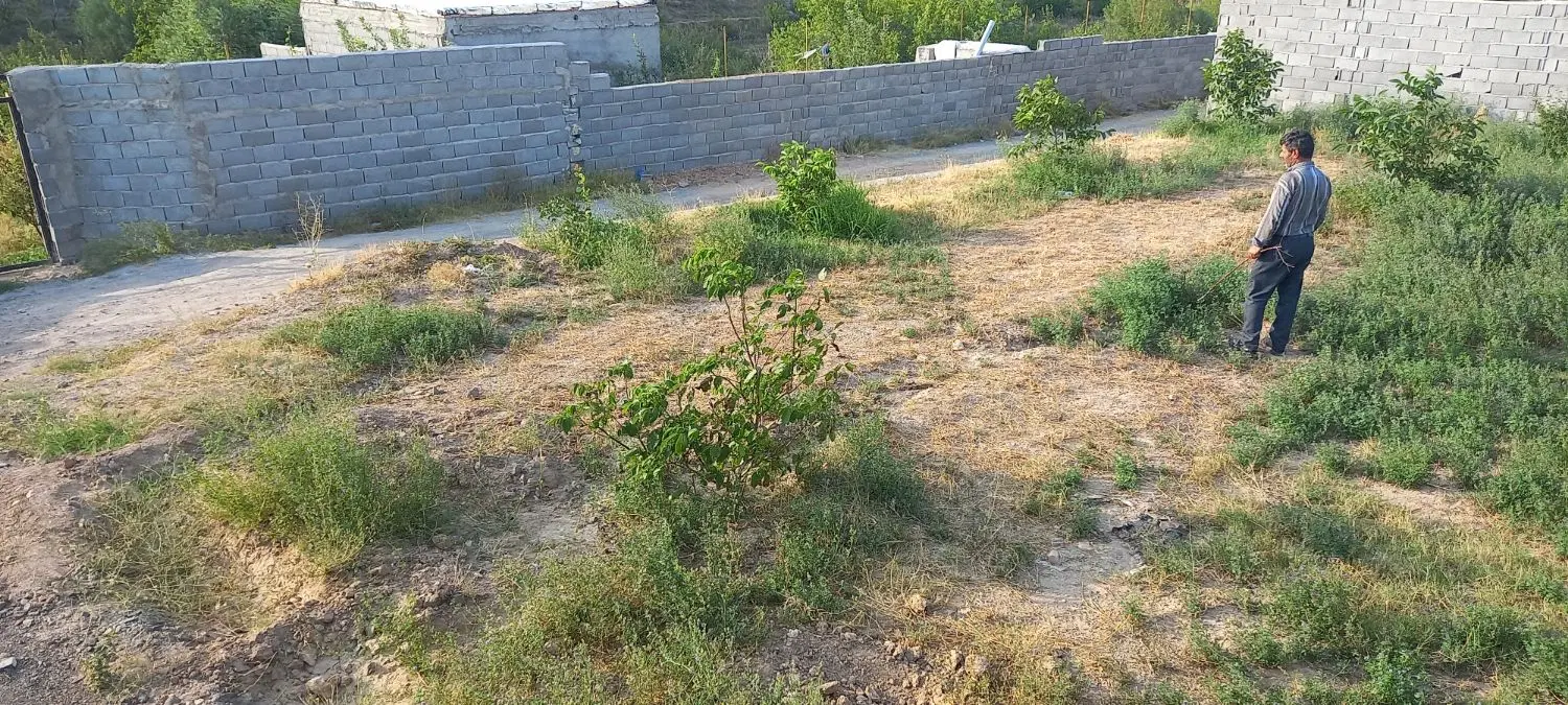 باغ