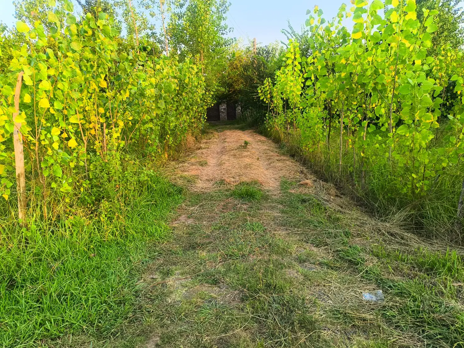 یک قطعه زمین