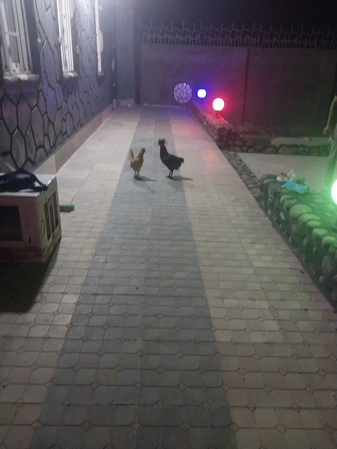 خانه باغ منزلاب