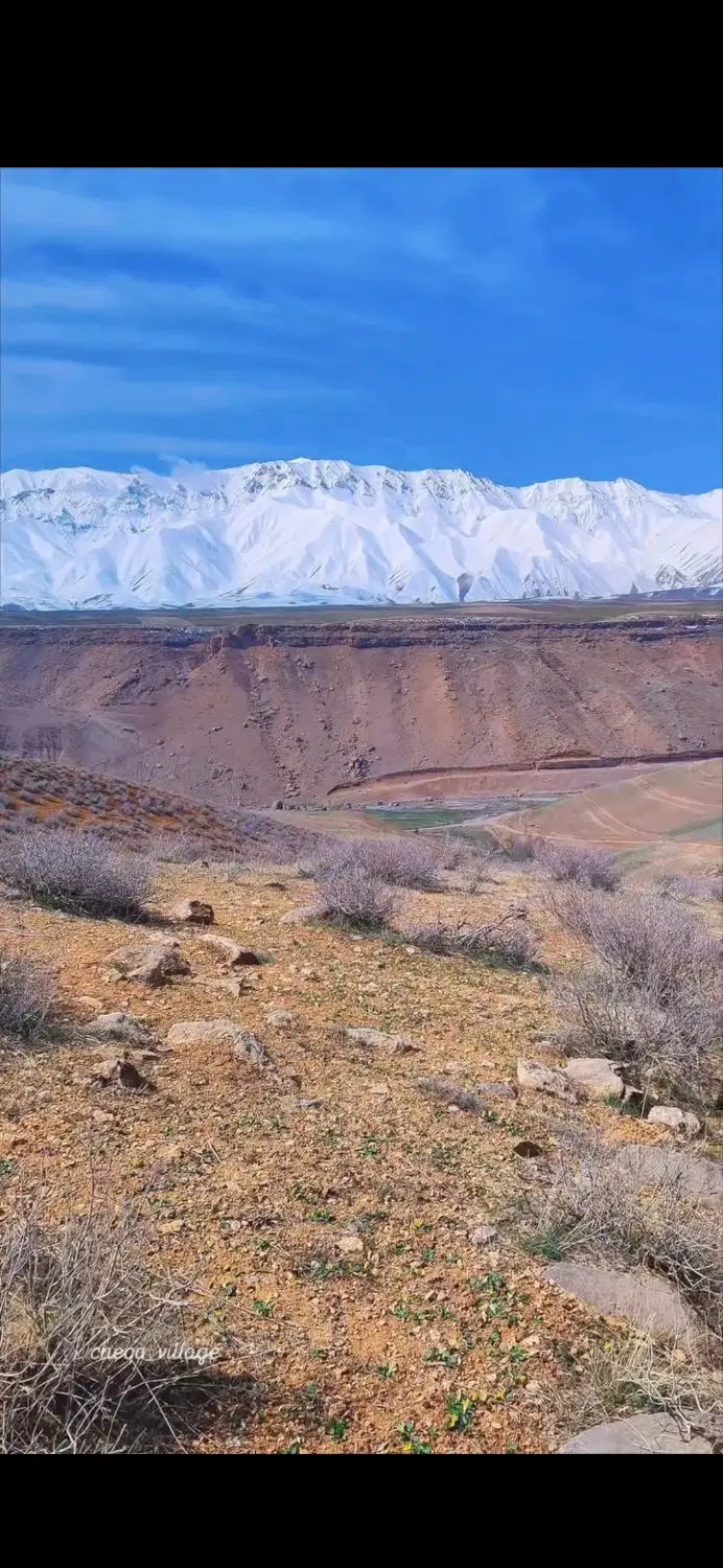 زمین گلخانه