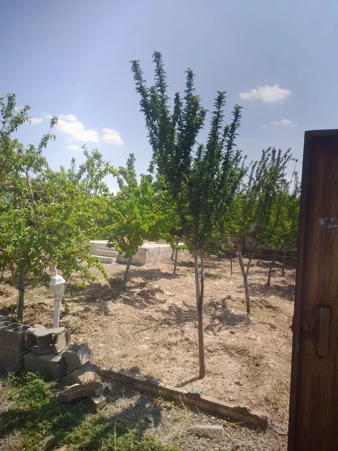 سلام باغ ۵۰۰متری بادرختان ۵ساله اب مدار